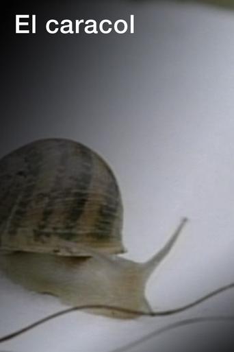 El caracol Poster of El caracol