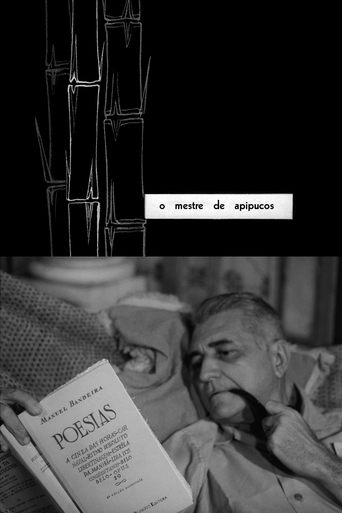 The Master of Apipucos Poster of The Master of Apipucos