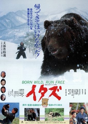The Forest of the Little Bear Poster of The Forest of the Little Bear