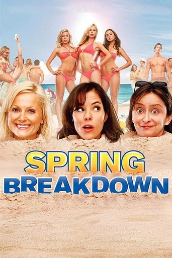 Spring Breakdown Poster of Spring Breakdown