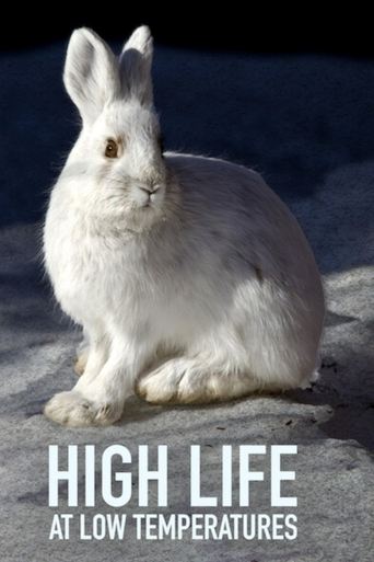 High Life at Low Temperatures Poster of High Life at Low Temperatures