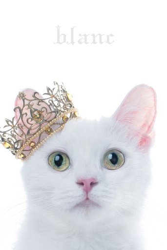 Aimer: Best Selection "blanc" (Limited Edition Bonus) Poster of Aimer: Best Selection "blanc" (Limited Edition Bonus)