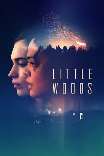 Little Woods Poster of Little Woods