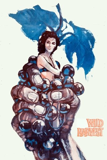 Wild Harvest Poster of Wild Harvest