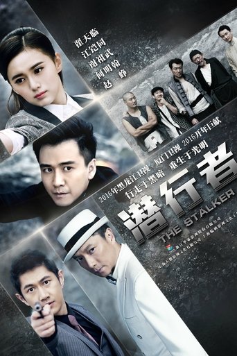 The Stalker Poster of The Stalker