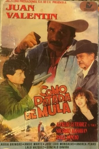 Como patada de mula Poster of Como patada de mula