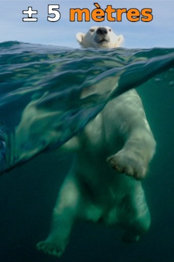 ± 5 Meters From the Surface of the Oceans Poster of ± 5 Meters From the Surface of the Oceans
