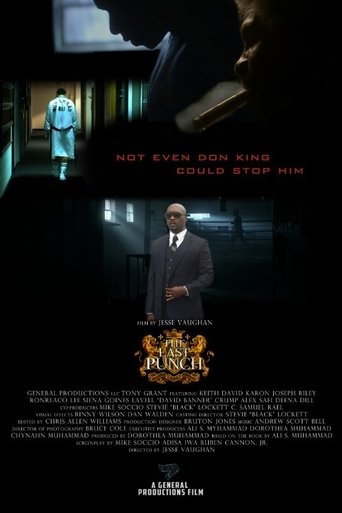 The Last Punch Poster of The Last Punch