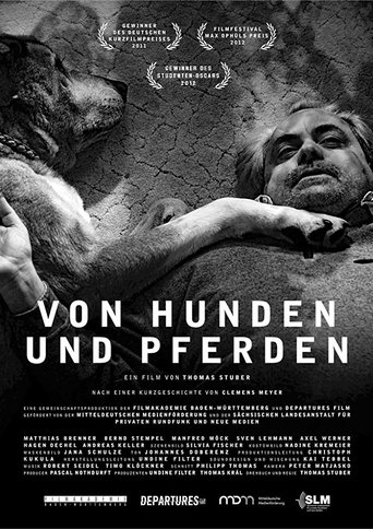 Of Dogs and Horses Poster of Of Dogs and Horses