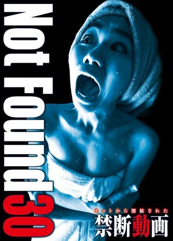 Not Found 30 Poster of Not Found 30