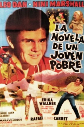 The novel of a poor young man Poster of The novel of a poor young man