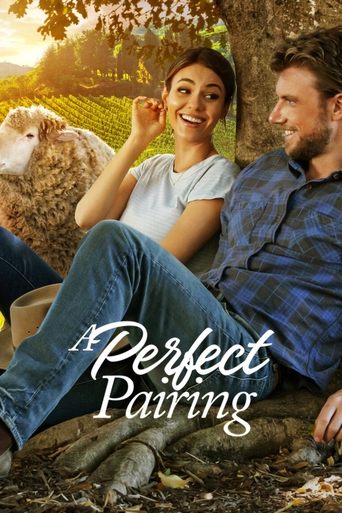 A Perfect Pairing Poster of A Perfect Pairing