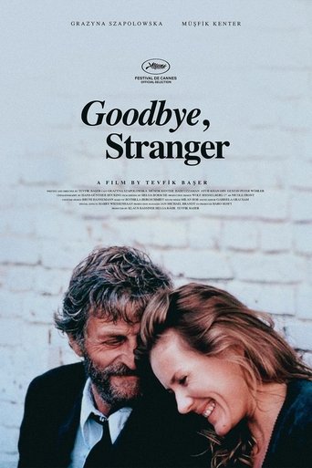 Goodbye Stranger Poster of Goodbye Stranger