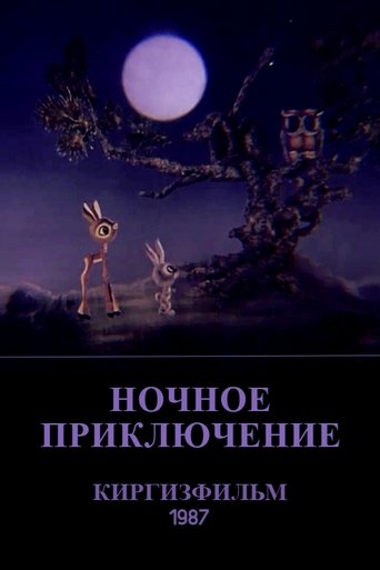 The Nighttime Adventure Poster of The Nighttime Adventure