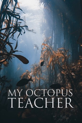 My Octopus Teacher Poster of My Octopus Teacher