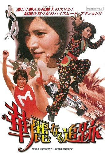 The Great Chase Poster of The Great Chase