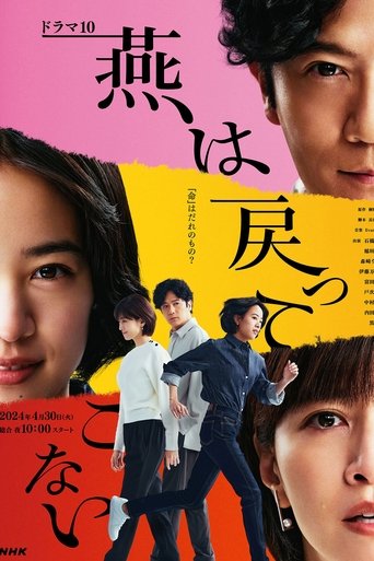 The Swallows Don't Come Back Poster of The Swallows Don't Come Back
