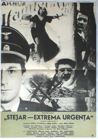 Stejar, extremă urgență Poster of Stejar, extremă urgență