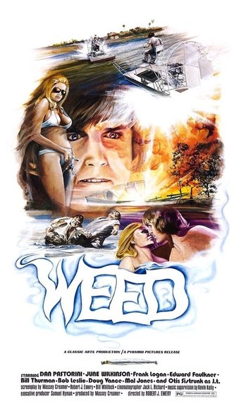 The Florida Connection Poster of The Florida Connection