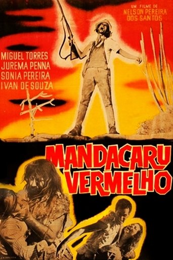 Mandacaru Vermelho Poster of Mandacaru Vermelho