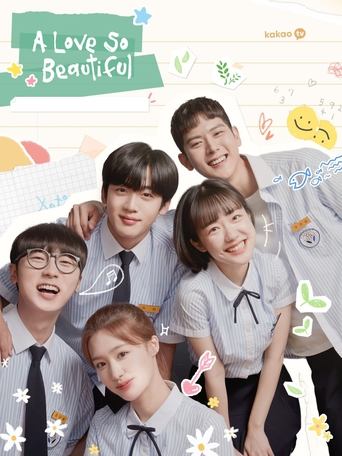 A Love So Beautiful Poster of A Love So Beautiful