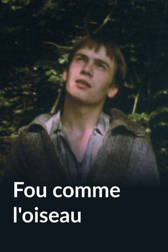 Fou comme l'oiseau Poster of Fou comme l'oiseau