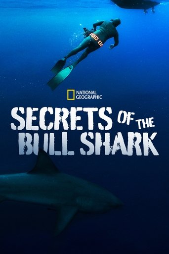 Secrets of the Bull Shark Poster of Secrets of the Bull Shark