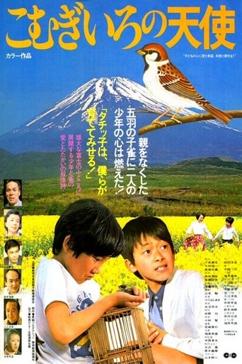 Komugīro no tenshi suzume to shōnen Poster of Komugīro no tenshi suzume to shōnen