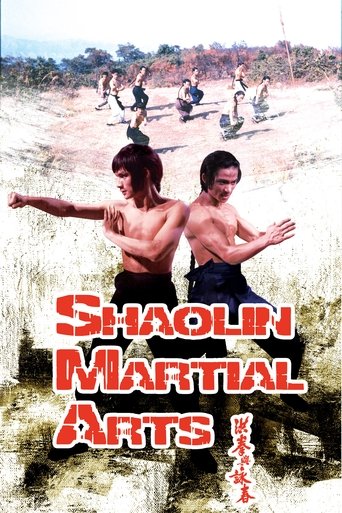 Shaolin Martial Arts Poster of Shaolin Martial Arts