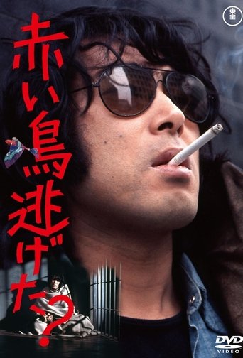 Did the Red Bird Escape? Poster of Did the Red Bird Escape?