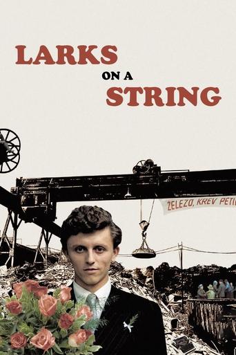 Larks on a String Poster of Larks on a String