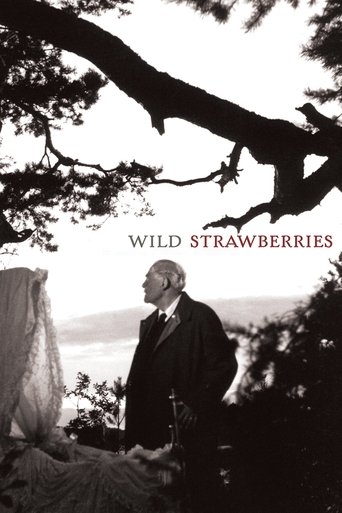 Wild Strawberries Poster of Wild Strawberries