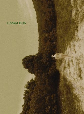 Camaleoa Poster of Camaleoa