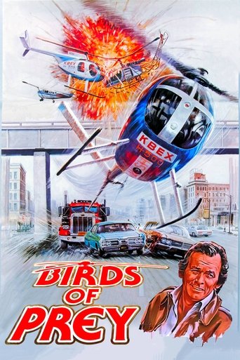 Birds of Prey Poster of Birds of Prey