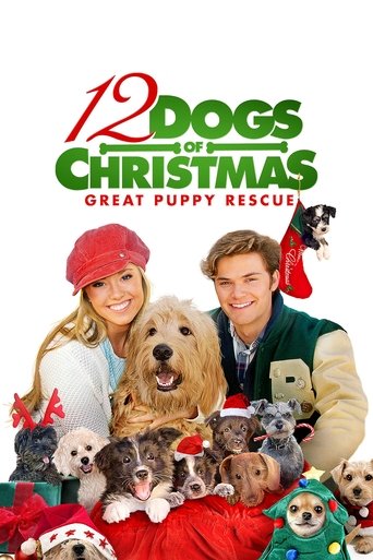 12 Dogs of Christmas: Great Puppy Rescue Poster of 12 Dogs of Christmas: Great Puppy Rescue