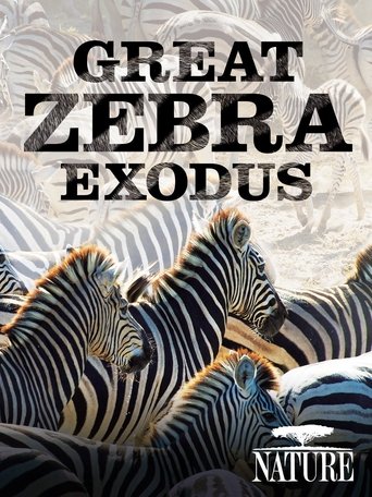 Nature: Great Zebra Exodus Poster of Nature: Great Zebra Exodus