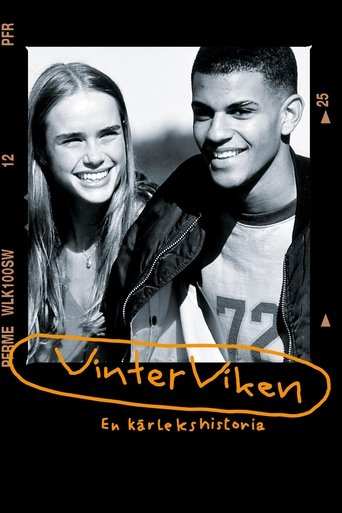 Vinterviken Poster of Vinterviken