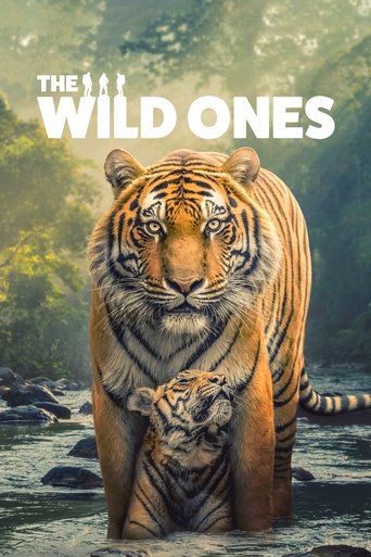 The Wild Ones Poster of The Wild Ones