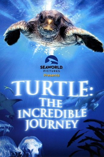 Turtle: The Incredible Journey Poster of Turtle: The Incredible Journey
