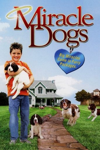 Miracle Dogs Poster of Miracle Dogs