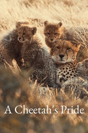 A Cheetah's Pride Poster of A Cheetah's Pride
