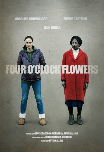 Four O'Clock Flowers Poster of Four O'Clock Flowers