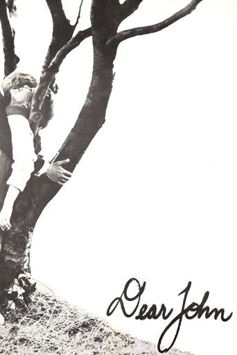 Dear John Poster of Dear John
