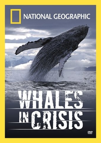 Whales in Crisis Poster of Whales in Crisis