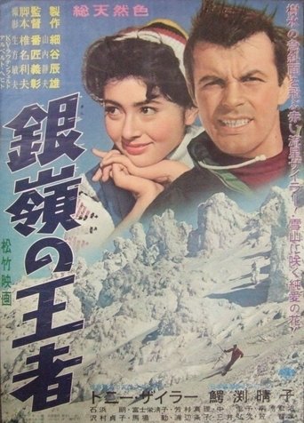 Storm on the Silvery Peaks Poster of Storm on the Silvery Peaks