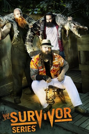 WWE Survivor Series 2013 Poster of WWE Survivor Series 2013