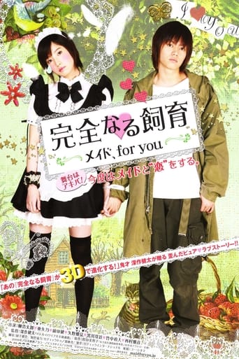 Perfect Education: A Maid for You Poster of Perfect Education: A Maid for You