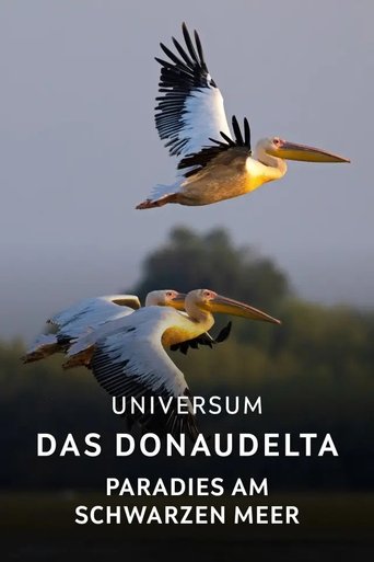 Das Donaudelta - Paradies am Schwarzen Meer Poster of Das Donaudelta - Paradies am Schwarzen Meer