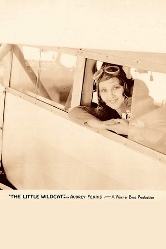 The Little Wildcat Poster of The Little Wildcat