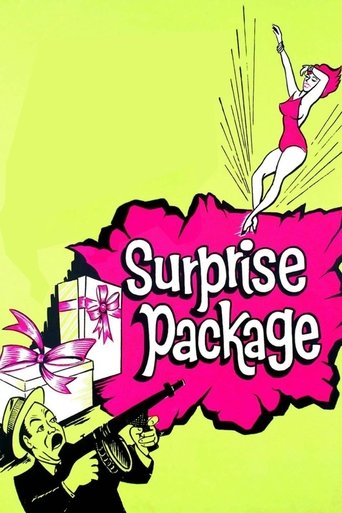 Surprise Package Poster of Surprise Package